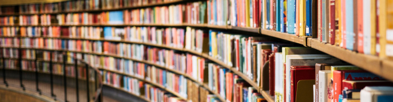 Onderwijs sector expertise